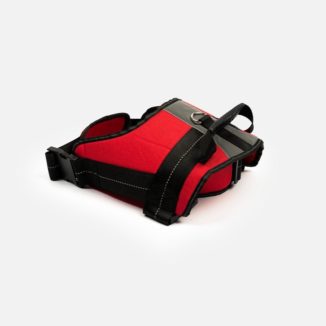 Heavy Duty Harness Red - kich-9563