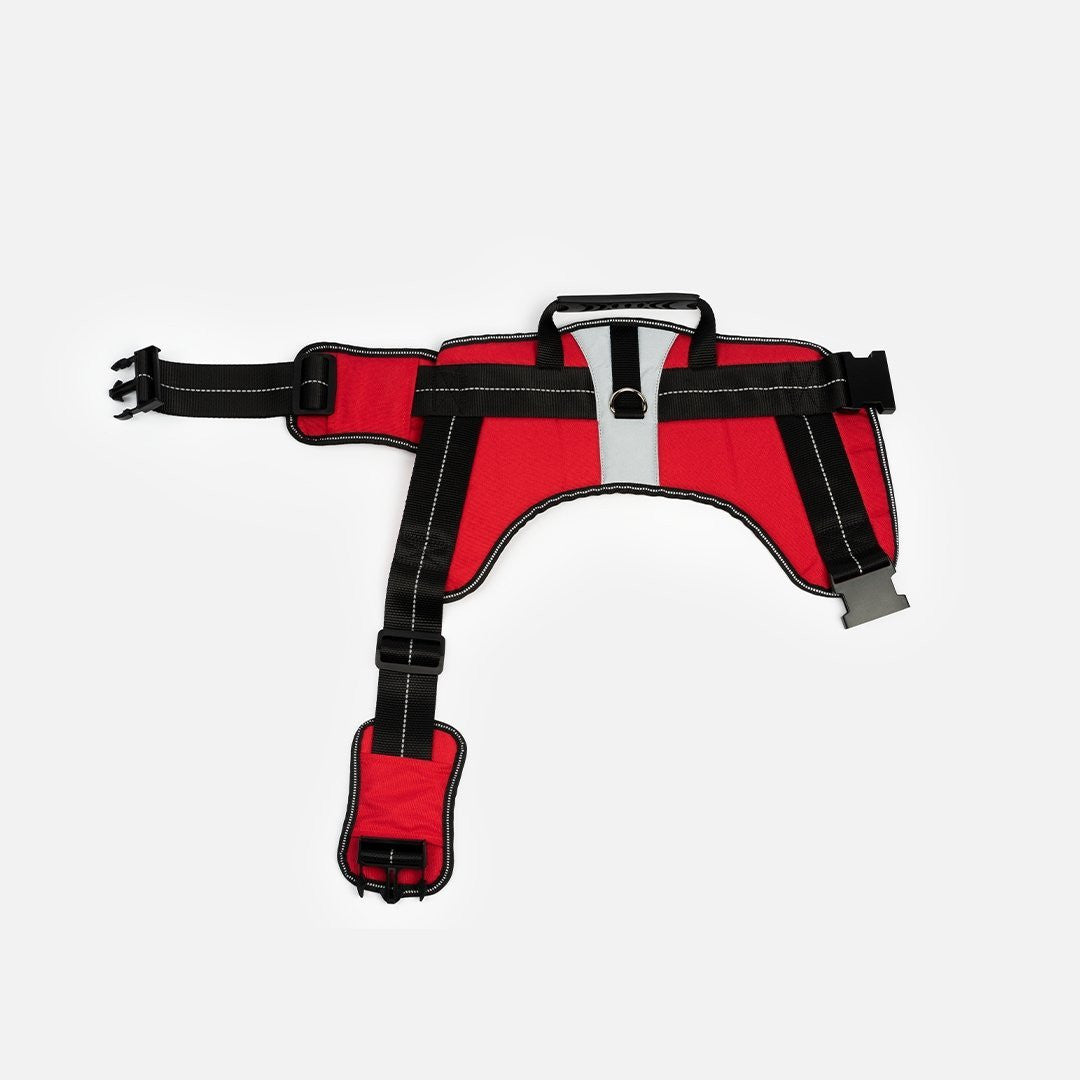 Heavy Duty Harness Red - kich-9563