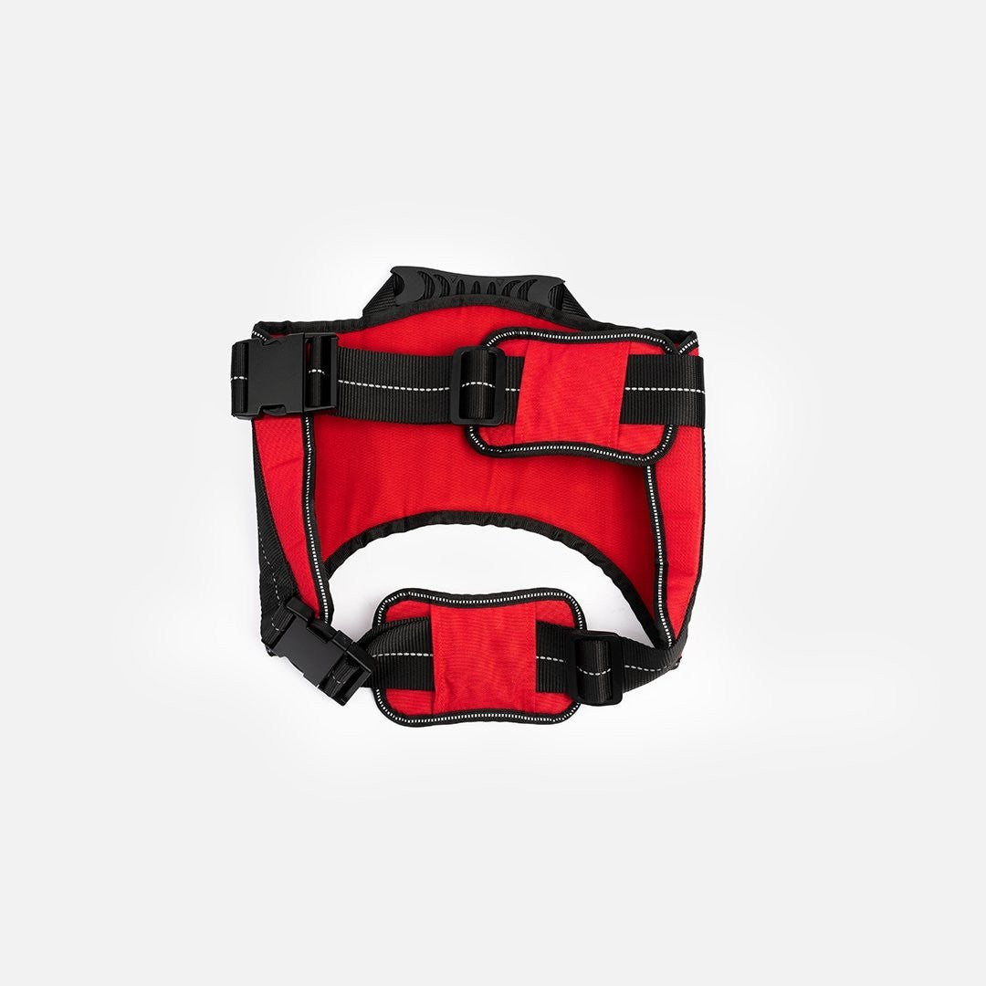 Heavy Duty Harness Red - kich-9563