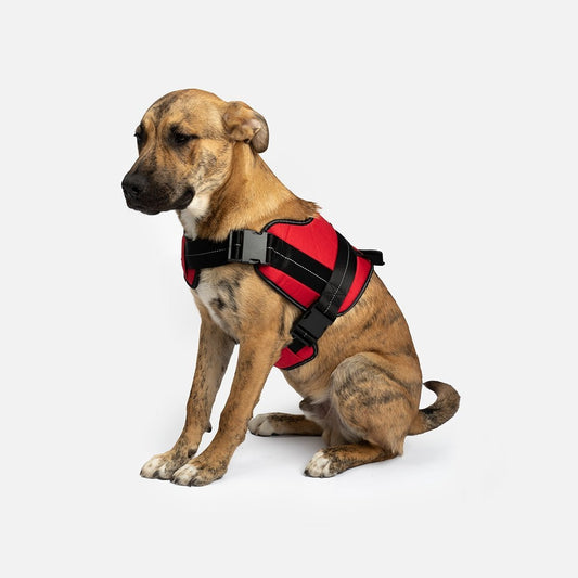 Heavy Duty Harness Red - kich-9563