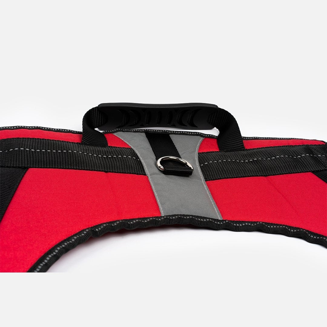 Heavy Duty Harness Red - kich-9563