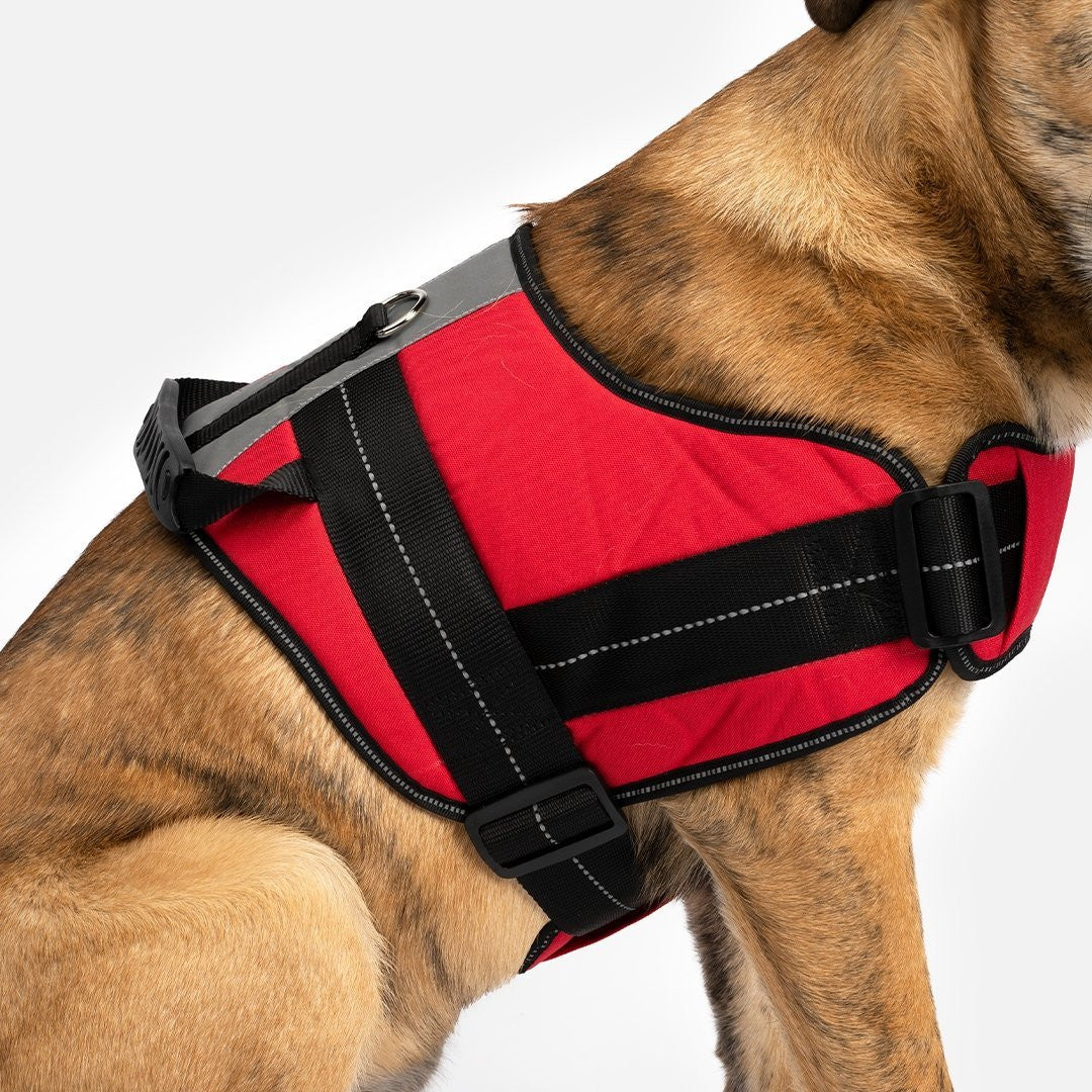 Heavy Duty Harness Red - kich-9563