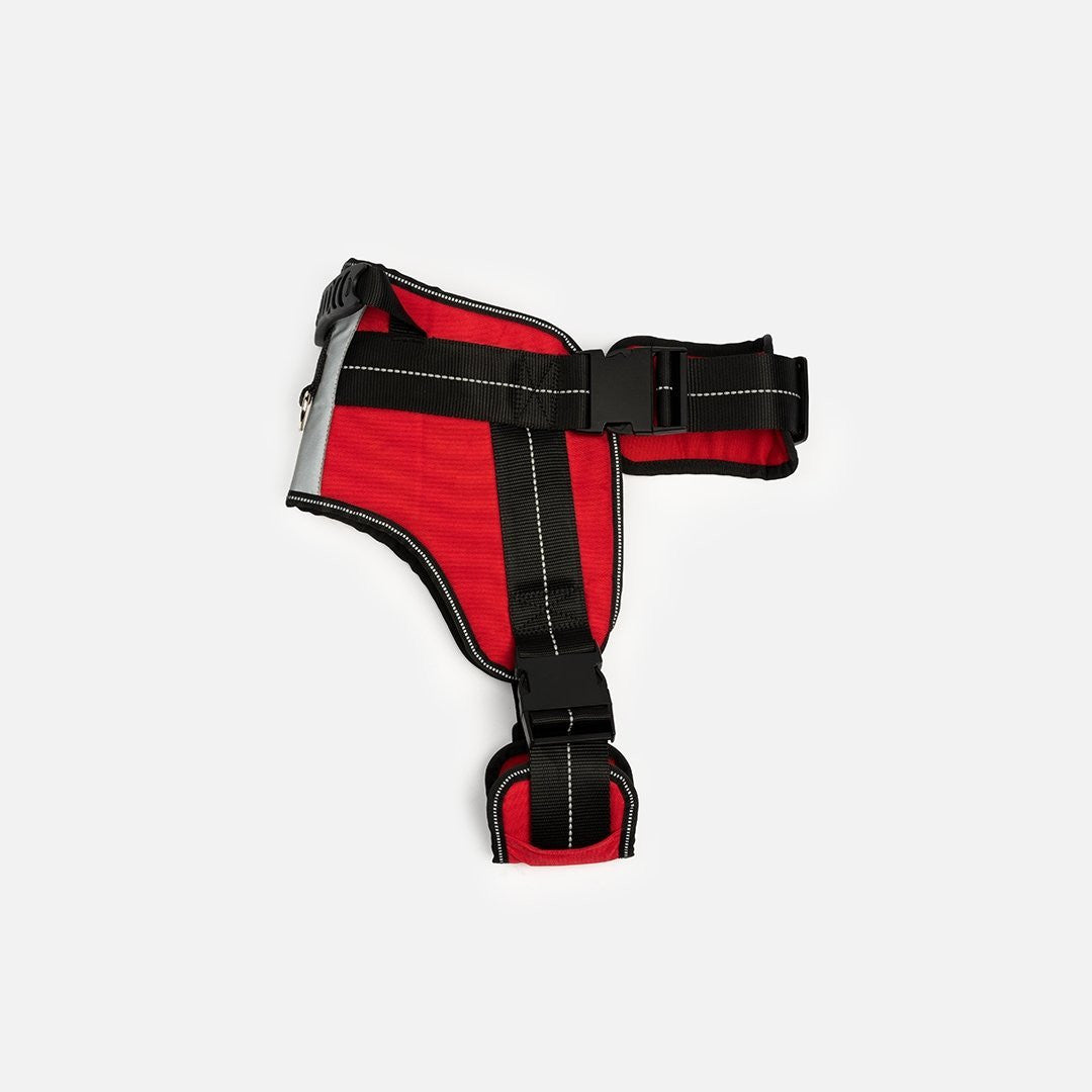 Heavy Duty Harness Red - kich-9563